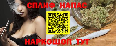 сатива Краснознаменск