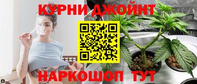 сатива Краснознаменск